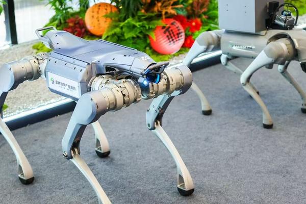 20亿基金落子长三角，宜宾切入AI产业化新赛道｜最前线