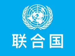 联合国任命 AI 问题独立国际科学小组，两位中国科学家当选