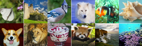 清华与快手联手推出新型SVG扩散模型,训练效率暴增6200%